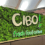 Cibo